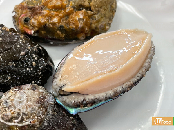 鮑魚超強大！外殼似避彈衣／吸力達200公斤！ 12件關於鮑魚不可不知的事