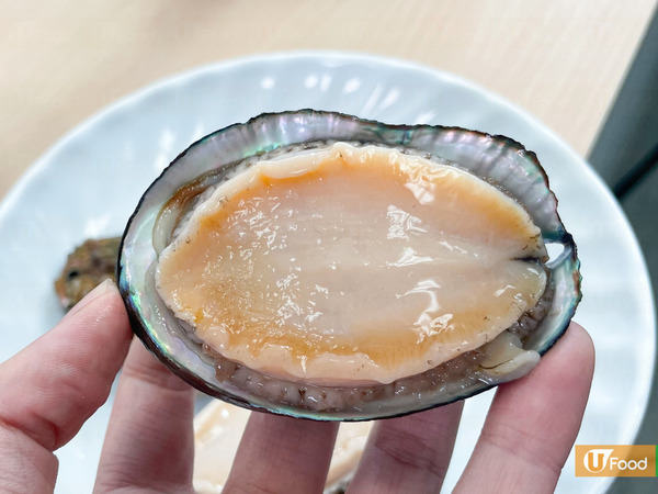 鮑魚超強大！外殼似避彈衣／吸力達200公斤！ 12件關於鮑魚不可不知的事