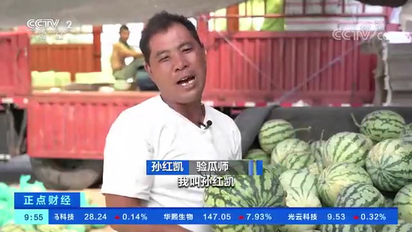內地新興網紅職業「驗瓜師」檢驗西瓜品質　專家教你3步揀出香甜西瓜