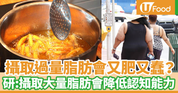 吃太多脂肪會又肥又蠢？　最新澳洲研究：長期採取高脂肪飲食會增加腰圍／降低認知能力