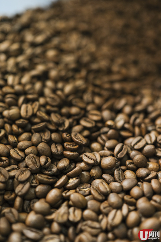 坪洲單車佬轉戰上環  日間咖啡吧「墨麒麟」 / 自家烘培冷門產區咖啡豆