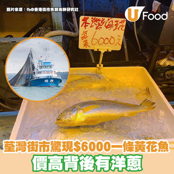 荃灣街市驚現$6000一條黃花魚 價高背後有洋蔥