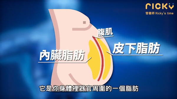 有大肚腩不一定是因為吃太多變肥！　台灣營養師教你認清4個肚腩類型對症下藥減走腹部贅肉