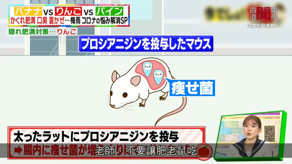 日本專家推介減肚腩必吃水果！　一日吃一個可有效減走內臟脂肪／趕走隱性肥胖