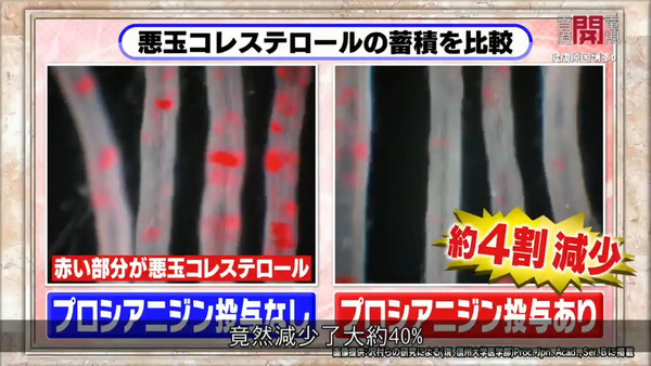 日本專家推介減肚腩必吃水果！　一日吃一個可有效減走內臟脂肪／趕走隱性肥胖