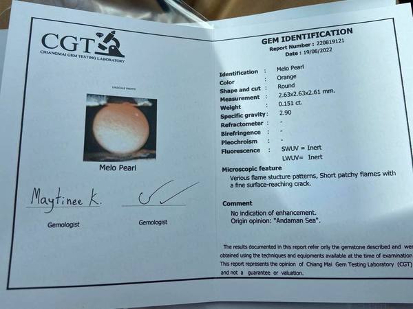 泰國情侶餐廳吃螺吃出罕見珍珠之王！　鑑定後確認為超稀有美樂珍珠／全球僅有200粒／米粒般大小價值逾$2萬