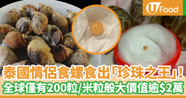 泰國情侶餐廳吃螺吃出罕見珍珠之王！　鑑定後確認為超稀有美樂珍珠／全球僅有200粒／米粒般大小價值逾$2萬