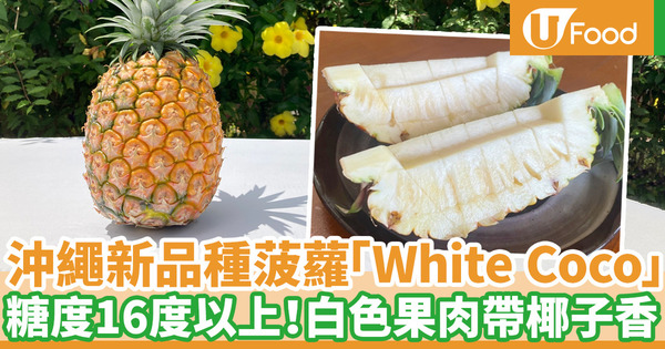 日本沖繩縣新品種菠蘿「White Coco」 糖度16度以上!白色果肉帶椰子甜香