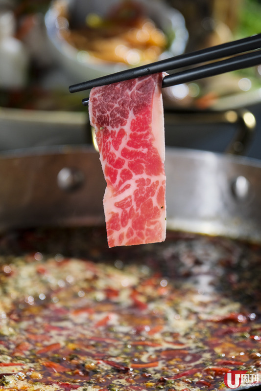 無限時火鍋放題 淥鼎記新店 358 元無時限套餐 / 怒食安格斯牛 + 送刺身及海鮮