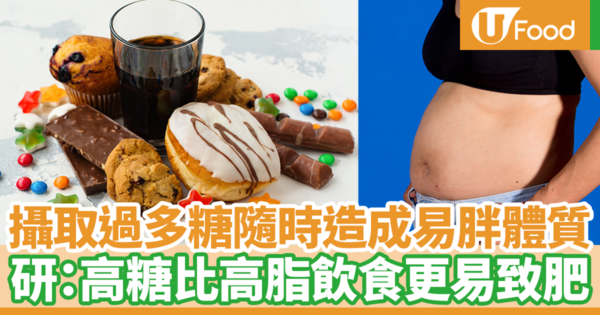 添加糖傷害比想像中更大！　美國研究：高糖飲食比高脂飲食更加容易致肥／會導致惡性循環