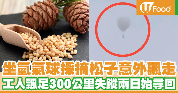 坐氫氣球採摘松子意外飄走 飄足300公里失蹤兩日始尋回