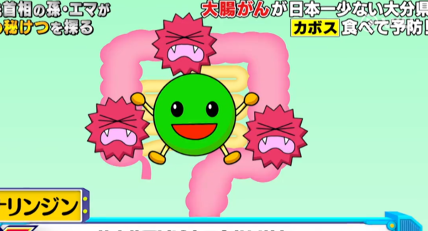 有效預防大腸癌！　日本長壽人士推薦1種水果改善腸道健康（內附推薦食法）