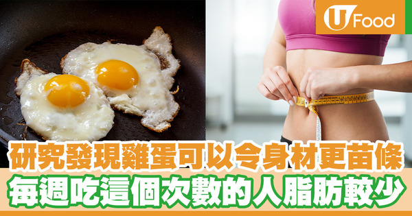 研究發現雞蛋可以令身材更苗條 每週吃這個次數的人脂肪較少