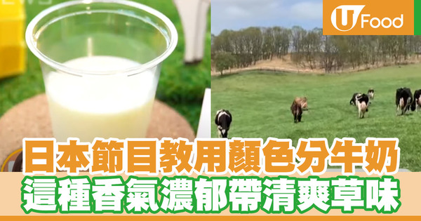 日本節目教用顏色分牛奶　這種香氣濃郁帶清爽草味