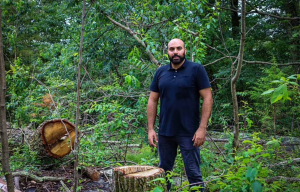 反恐公司CEO Grant Haber被指在未取得許可情況下砍伐位於鄰居土地位置上的樹木。（網上圖片）