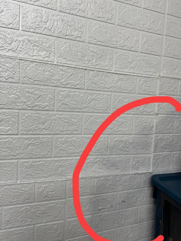 家人在約5年前貼上平價白色磚紋防撞牆貼。（Facebook圖片）