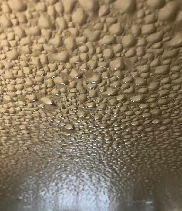 潮濕天氣下，不少網民都表示家中天花牆身「出水」。（網上圖片）