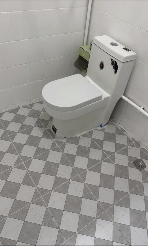 改造廁所。（影片截圖）