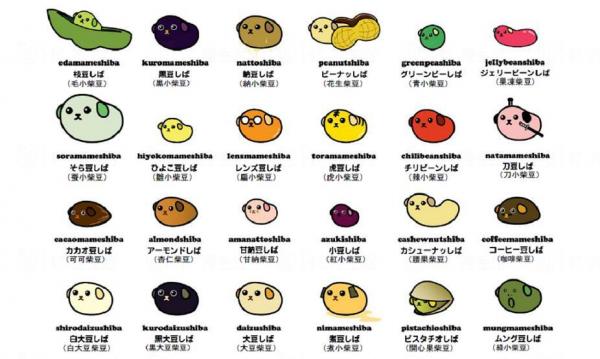 「小柴豆Mameshiba」一共有24種角色