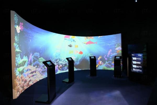 全港首個室內互動水族館 登陸沙田 (圖:官方提供)