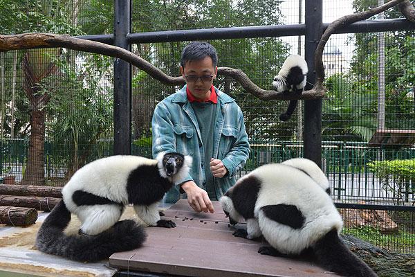 近距離認識稀有猴子！動植物公園「護理聚談」 (圖：香港動植物公園)