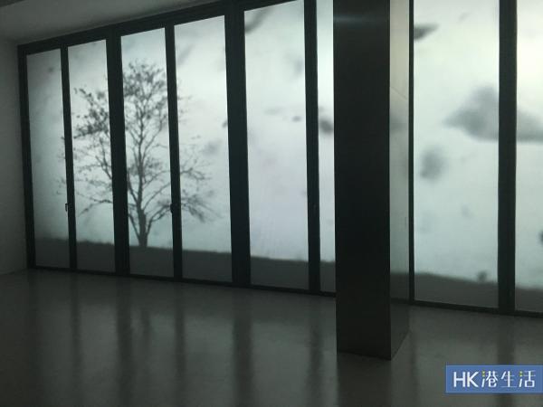 支持香港藝術家！西九M+展亭首個展覽免費開放