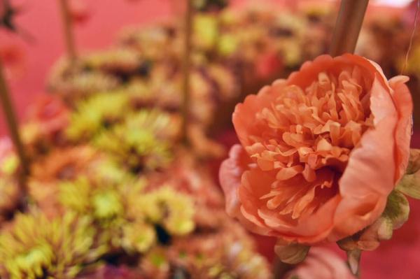花朵將我包圍！尖沙咀3米高橙色藝術花園
