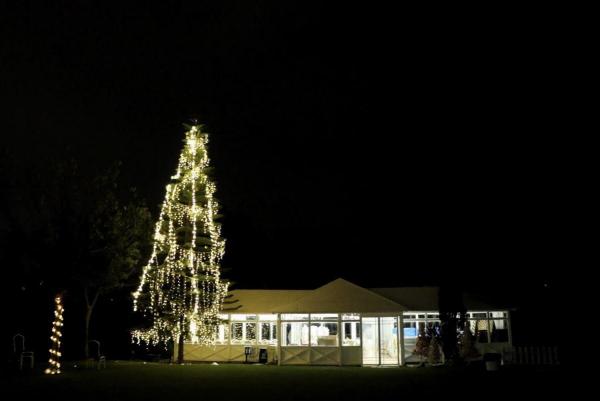 大埔聖誕燈飾+草地BBQ！12米聖誕樹/5米水晶球彈床/市集