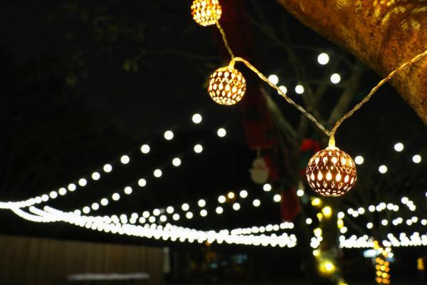 大埔聖誕燈飾+草地BBQ！12米聖誕樹/5米水晶球彈床/市集