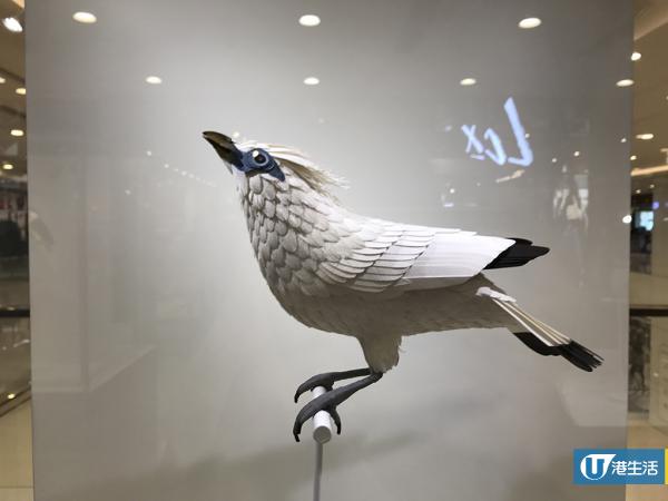 尖沙咀免費睇紙雕展 重現逾30種美洲雀鳥