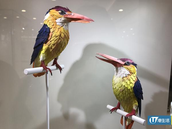 尖沙咀免費睇紙雕展 重現逾30種美洲雀鳥