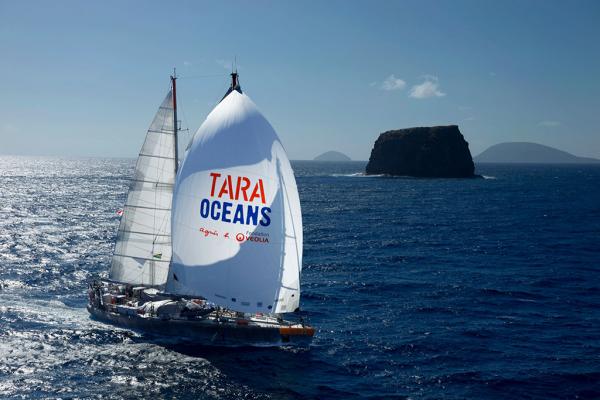法國agnès b. Tara探險船訪港 中環免費開放參觀+探索展覽