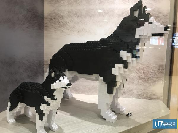 灣仔巨型積木展覽登場 逾50件Sanrio系列/狗狗模型！