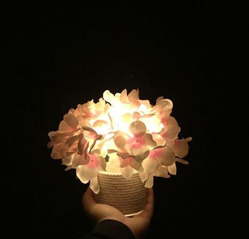 母親節禮物推介！韓國繡球花小夜燈 永久保存掛牆/座枱擺設