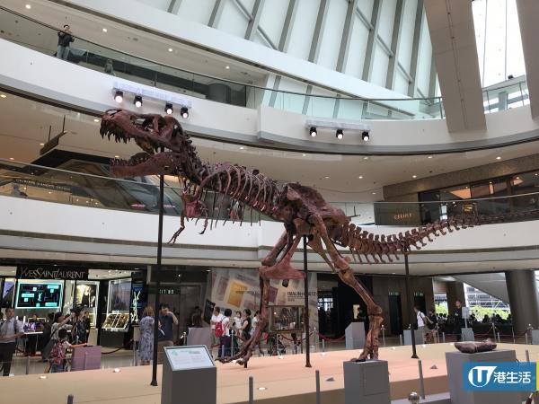 【中環好去處】免費睇恐龍展覽 12米長暴龍化石！