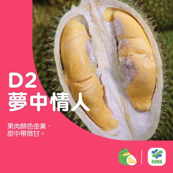 榴槤達人分享！教你分24種必食馬來西亞榴槤