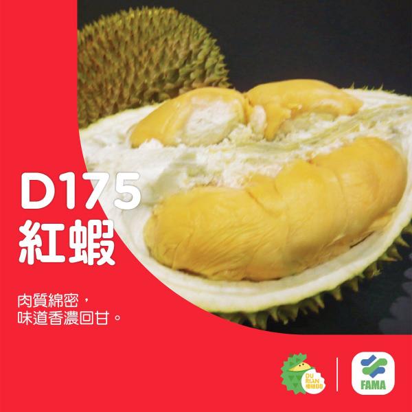 榴槤達人分享！教你分24種必食馬來西亞榴槤