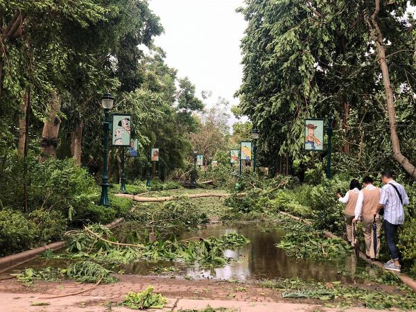 【颱風山竹】迪士尼今天全日暫停開放！颱風威力驚人導致塌樹路面損毁