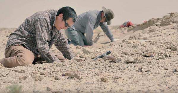 不限年齡！港大免費恐龍證書課程 戈壁沙漠挖掘8千年歷史化石