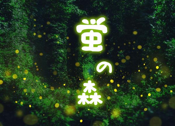 【聖誕節2018】荔枝角D2 Place聖誕飄雪精靈小木屋！螢火蟲森林/巨型玻璃瓶