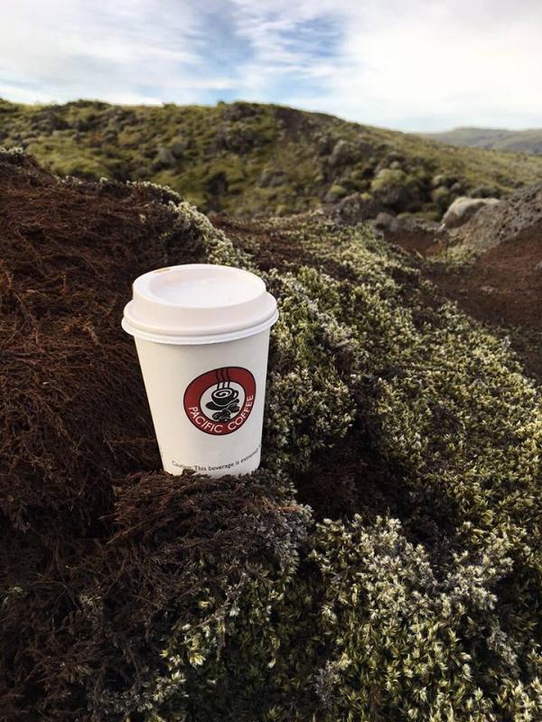 Pacific Coffee回收咖啡杯蓋計劃　可享免費升級優惠