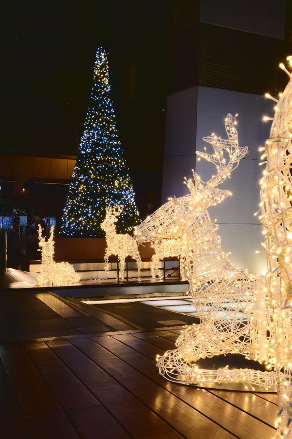 【灣仔好去處】 灣仔化身馴鹿主題聖誕燈飾 銀河隧道/巨型聖誕樹
