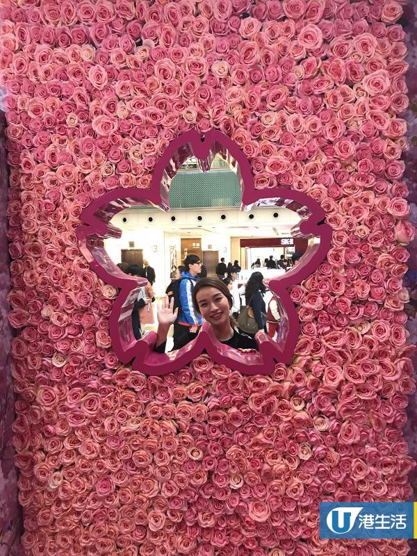 【新年好去處2019】沙田新城市變身日系櫻花車站 粉紅玫瑰牆/5大影相位