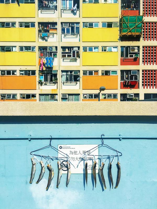 【尖沙咀好去處】尖沙咀免費睇國家地理攝影作品展　24幅得獎作影出香港故事！