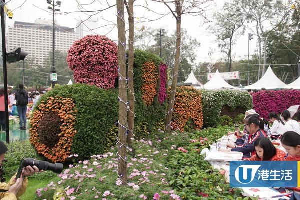 【維園花卉展2019】香港花卉展開鑼！$14入場任影42萬棵花朵