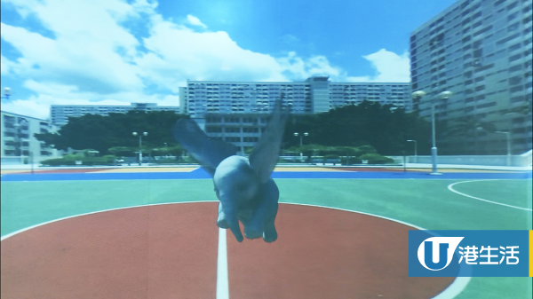 【銅鑼灣好去處】6米小飛象空降銅鑼灣  270°投影飛越香港/免費睇馬戲表演