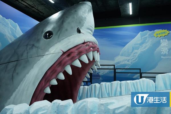 【暑假好去處】日本生物體驗展襲港搶先睇！6大主題區/扮企鵝勇闖4米高鯊魚口