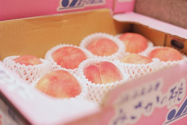 【中環美食】Café Life再推日本白桃甜品系列　歎原個白桃撻/芝士蛋糕/千層酥