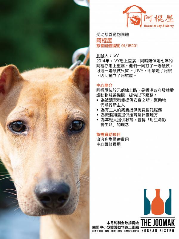 韓式餐廳The Joomak行動支持領養不棄養 全數捐出11月盈利幫助本地流浪貓狗