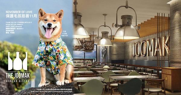 韓式餐廳The Joomak行動支持領養不棄養 全數捐出11月盈利幫助本地流浪貓狗